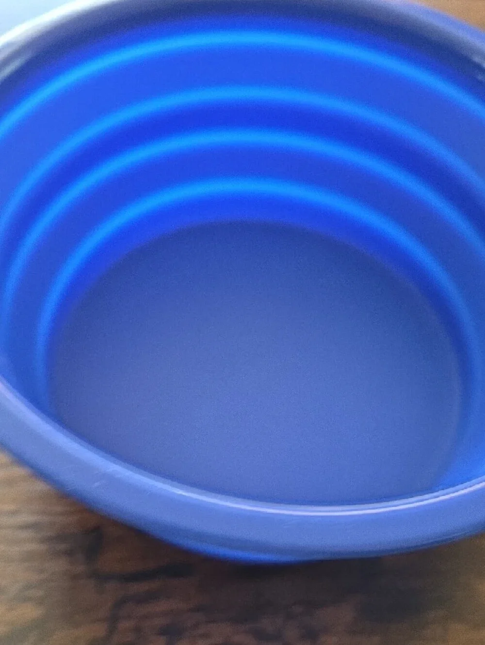 Blue 'Sun's Out Tongue's Out' Clip-On Bowl